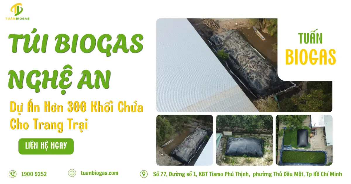 Túi Biogas Nghệ An: Dự Án Hơn 300 Khối Chứa Cho Trang Trại & Bí Quyết Xây Hố Gom Giảm Tải
